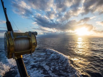 Fishing at sunset